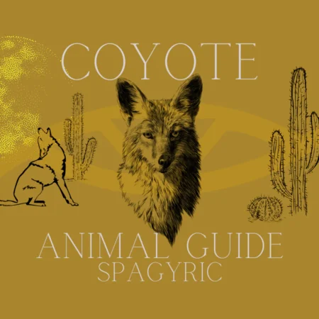 Coyote Animal Guide Spagyric (Materia Artium Labs)