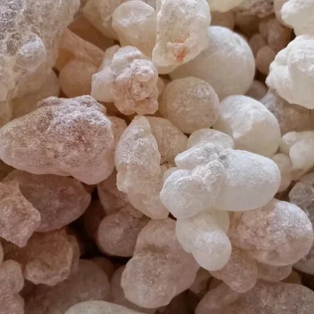 Hojari Frankincense Spagyric (Medical Grade "Royal Green") (The Arcanum)