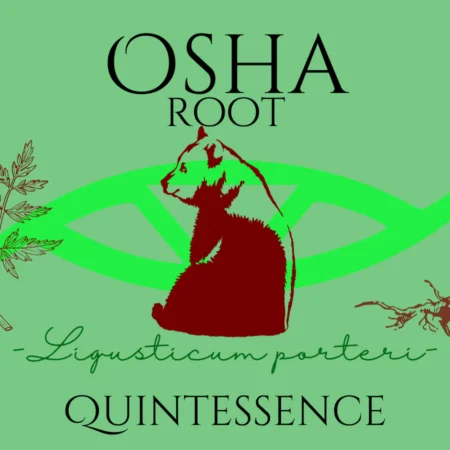 Osha Root Quintessence (Materia Artium Labs)