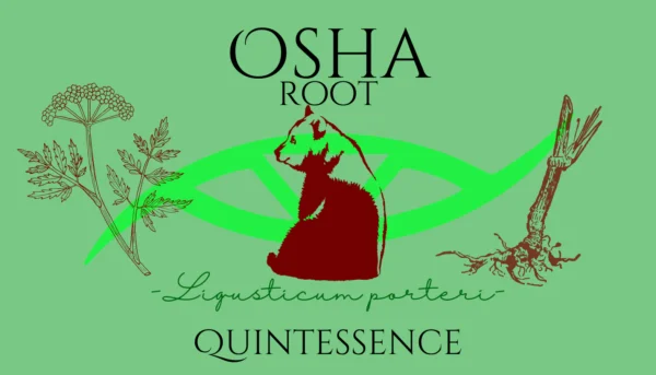 Osha Root Quintessence (Materia Artium Labs)