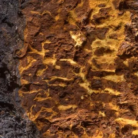 Quintessence of Chaga (The Arcanum)