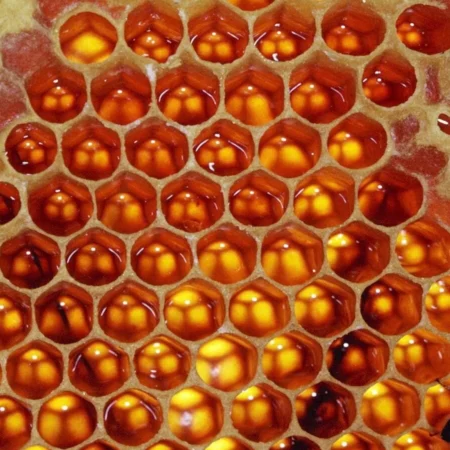 Quintessence of Honey (The Arcanum)