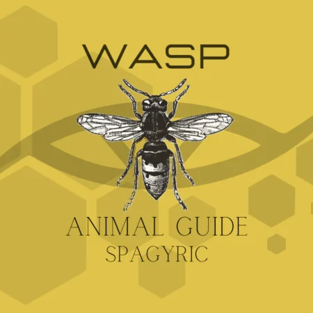 WASP ANIMAL GUIDE SPAGYRIC (Materia Artium Labs)