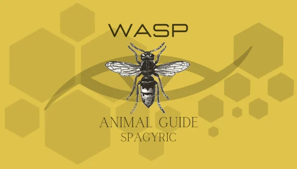 WASP ANIMAL GUIDE SPAGYRIC (Materia Artium Labs)