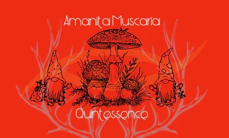 Amanita Muscaria Quintessence (Materia Artium Labs)