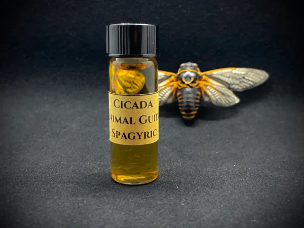 CICADA ANIMAL GUIDE SPAGYRIC ( Materia Artium Labs)