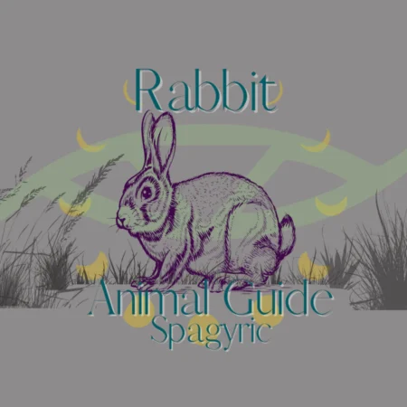 Rabbit Animal Guide Spagyric (Materia Artium Labs)